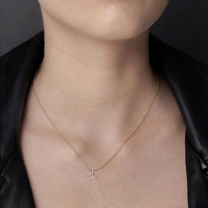 Silk & Steel Capricorn Necklace image number 1